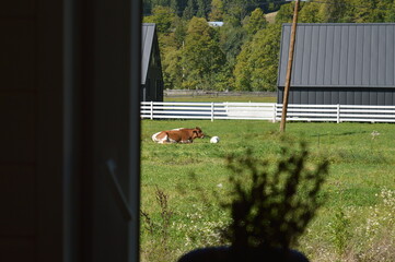 man walking in front of a house