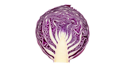 Obraz premium Isolated Half of Red Cabbage Vegetable with Cross Section Texture for Healthy Diet Vegan Food