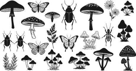 Black and white nature illustration, mushrooms, butterflies, beetles, botanical plants, vintage sketch, insect drawing, forest elements, hand drawn