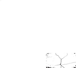 abstract background with alpha. cracked ground, ground distress texture, damage texture. old wall background crack vector, grunge texture.