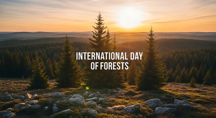 International day of forests at sunset with pine trees and rolling hills landscape