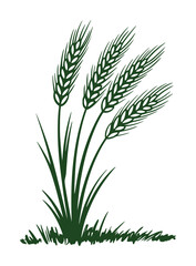 Obraz premium Stylized Green Wheat Stalks with Grass