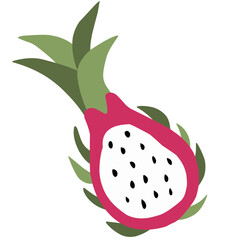 vector illustration of a half dragon fruit