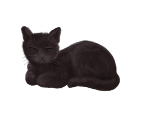 Black cat silhouette isolated on transparent background.