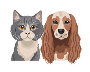 Portrait of a dog Russian Spaniel and cat Scottish Straight isolated on white background