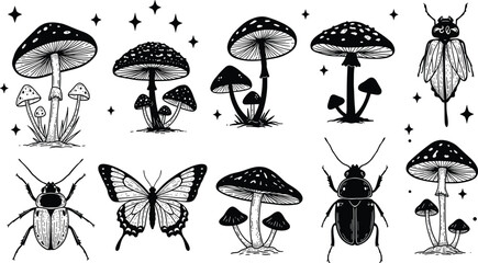 hand drawn mushrooms and insects illustration, black and white forest art, vintage botanical drawing, nature tattoo design, decorative graphic