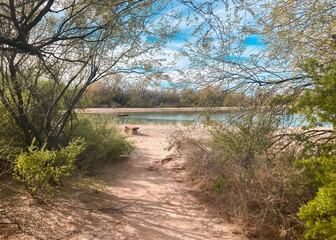 Path through the trees and brush leading to Quitobaquito Springs in the Organ Pipe Cactus National Monument next to the US-Mexico border outside Ajo, Arizona, USA