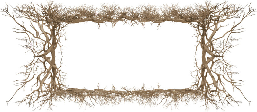 Frame Decoration from a series of roots