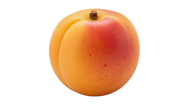 Isolated apricot, fresh and ripe with stem intact, featuring a smooth skin, soft blush tones
