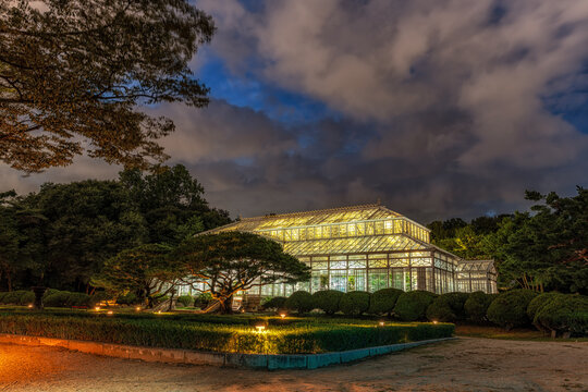 Daeonsil or Changgyeonggung Green House at Night
