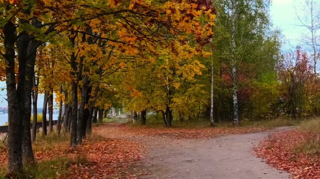 Autumn landscape in the park by the waterfront of Volga river with a path covered in dry leaves in a small town. Dynamic handheld shot