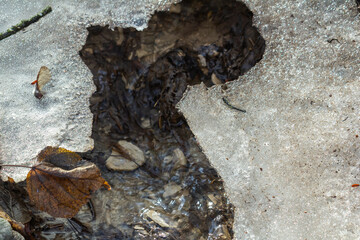 Melting ice reveals a hidden stream with autumn leaves in a serene forest setting during early spring afternoons