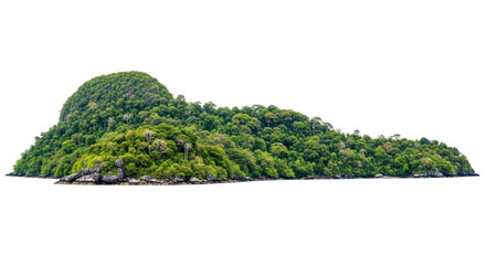 Isolated, lush tropical island with a dense forest in a remote seascape on clear days