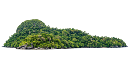 Isolated, lush tropical island with a dense forest in a remote seascape on clear days