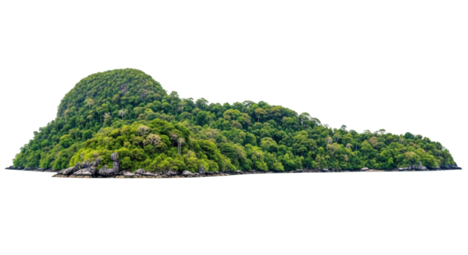 Isolated, lush tropical island with a dense forest in a remote seascape on clear days