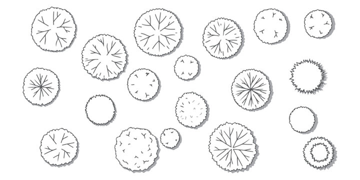 CAD Drawings. Set tree outlines isolated on white background. Tree plan drawing, elements for environment and garden. Top view. Vector illustration.