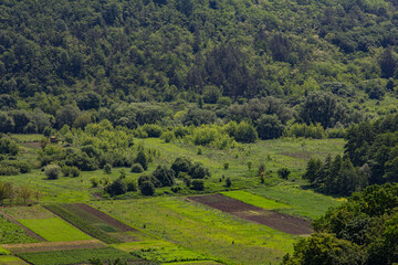 Naklejka premium Lush greenery and fertile fields stretch across a serene valley landscape under bright sunlight during the summer season