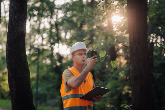 Forestry engineer inspecting trees using mobile phone and clipboard in forest
