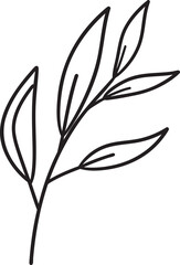 Willow Branch Leaf Silhouette | Black Vector Illustration Design