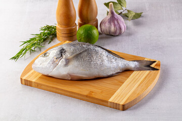 Raw fresh uncooked dorada fish