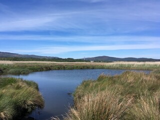 Serene marshland scene of the river Minho under a blue sky, Salcidos, A Guarda, Galicia, Spain, April 2019