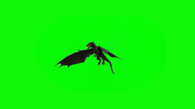 Flying Dragon Loop Animation Green Screen
