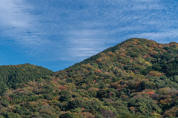 The leaves on the mountain trees have begun to turn orange in Fukuoka prefecture, JAPAN.
