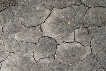 Dry cracked soil indicating drought conditions in a rural area highlighting the effects of climate change and water scarcity issues
