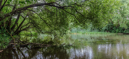 Lush riverside landscape with overhanging trees reflecting in calm waters during a sunny afternoon