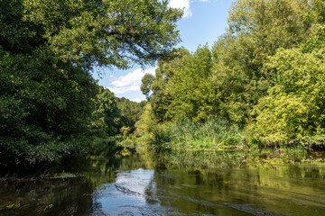 Obraz premium Calm river surrounded by lush greenery under a clear blue sky in a serene natural landscape during midday