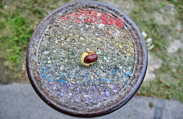 Autumn - chestnut on a colorful plate