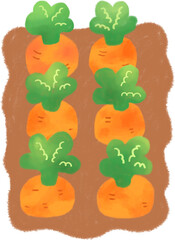 시콜 농사 일러스트