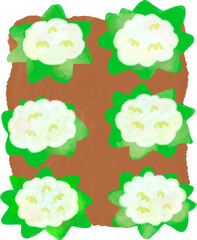 시콜 농사 일러스트