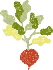 시콜 농사 일러스트