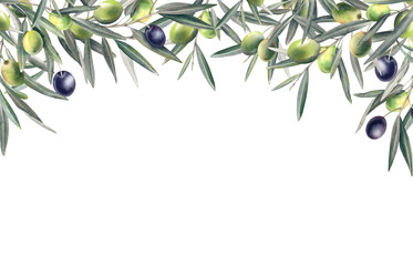 Olive branch with leaves and ripe berries. Watercolor hand-painted illustration. Banner, template, horizontal frame made of olives. Botanical Mediterranean clipart for a postcard on a white background