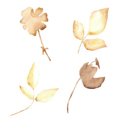 Flower and leaves set on a white background. Hand-drawn illustration. Perfect for autumn.