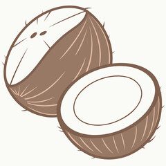 Coconut cut open graphic illustration
