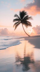Palm tree is standing on a beach at sunset