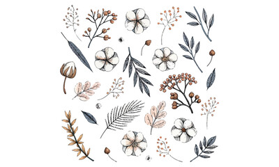 Diverse Botanical Illustrations: Tropical, Dried, and Stylized Flora