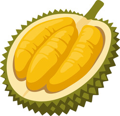 Vector Illustration of Durian Fruit Cut Open with Yellow Flesh