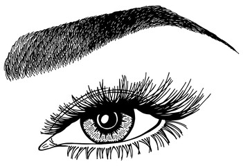 Illustration with woman's eye, eyelashes and eyebrow. Makeup Look. Tattoo design. Logo for brow bar or lash salon.