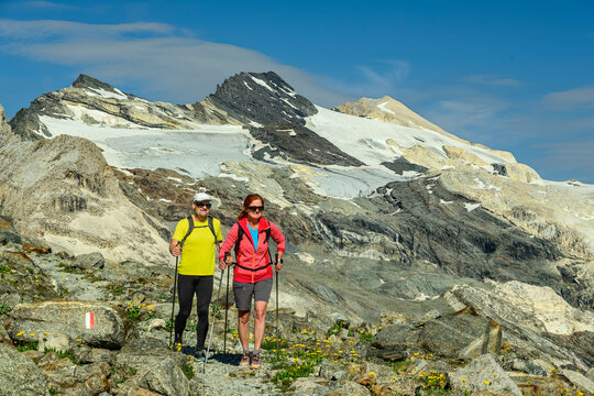 Hikers trekking alta via Valmalenco in Bernina Alps Lombardy Italy