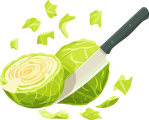 Fresh cabbage being chopped with a knife isolated on transparent background. Vector illustration.