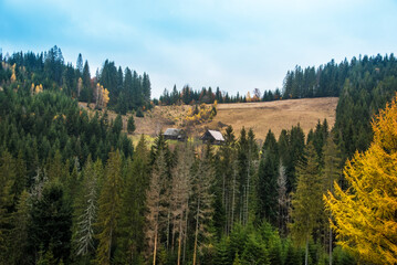 Autumn landscape with houses on a high meadow in the Carpathians.
