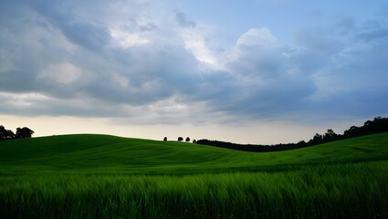 Fototapeta premium Rolling green hills under a dramatic cloudy sky at dusk