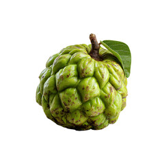 Fototapeta premium Ripe Custard Apple Full Of Flavor