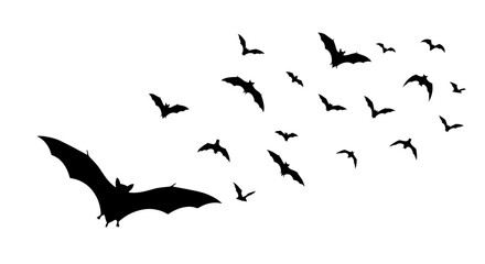 A vector illustration of flying bats, dark silhouette on a white background, white background
