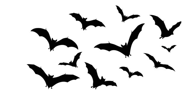 A vector graphic depicts a group of bats in silhouette flying against a white background, white background