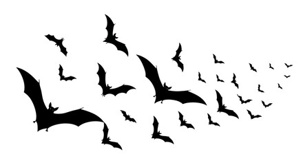 Silhouetted bats flying, a Halloween design element, white background