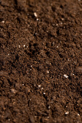 details of brown fertile soil for seedlings or use to improve the soil quality in the field, fertile soil mixed with white pieces of perlite to improve the quality of soil